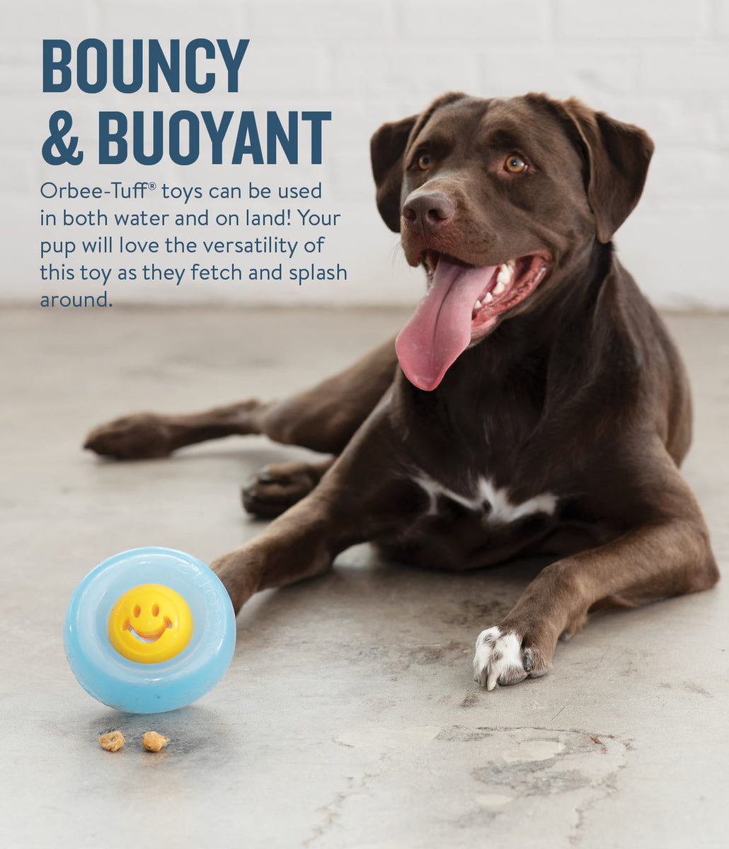 Planet Dog Orbee-Tuff Nooks Happiness Yellow