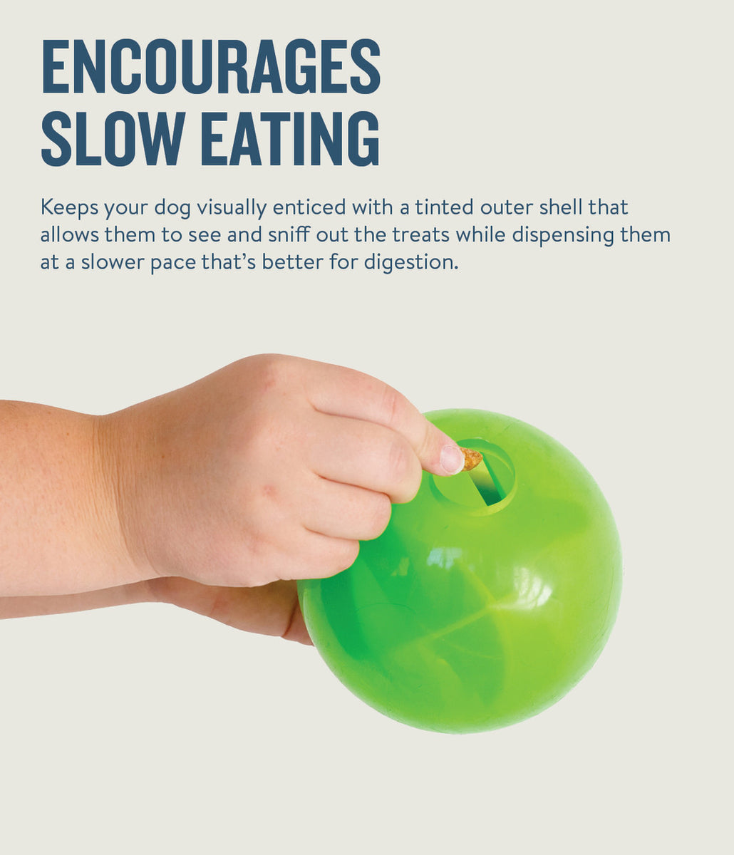 Planet Dog Orbee-Tuff Mazee Interactive Puzzle Dog Toy Green