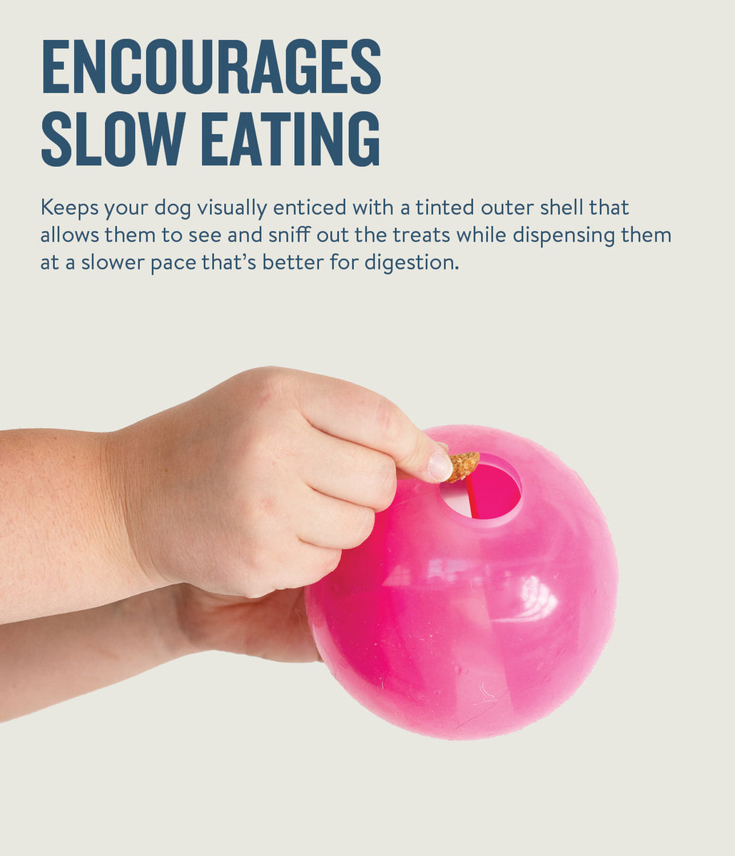 Planet Dog Orbee-Tuff Mazee Interactive Puzzle Dog Toy Pink