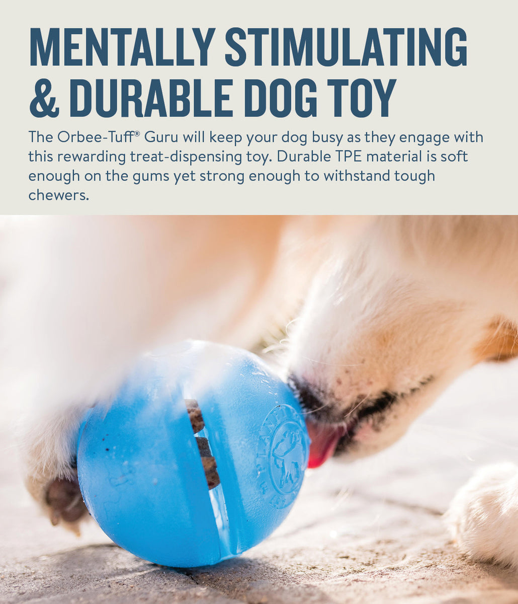 Planet Dog Orbee-Tuff Guru Treat-Dispensing Puzzle Dog Toy Blue