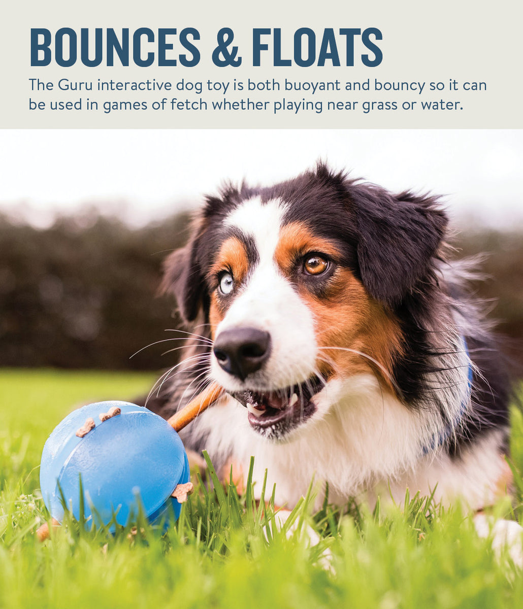 Planet Dog Orbee-Tuff Guru Treat-Dispensing Puzzle Dog Toy Blue