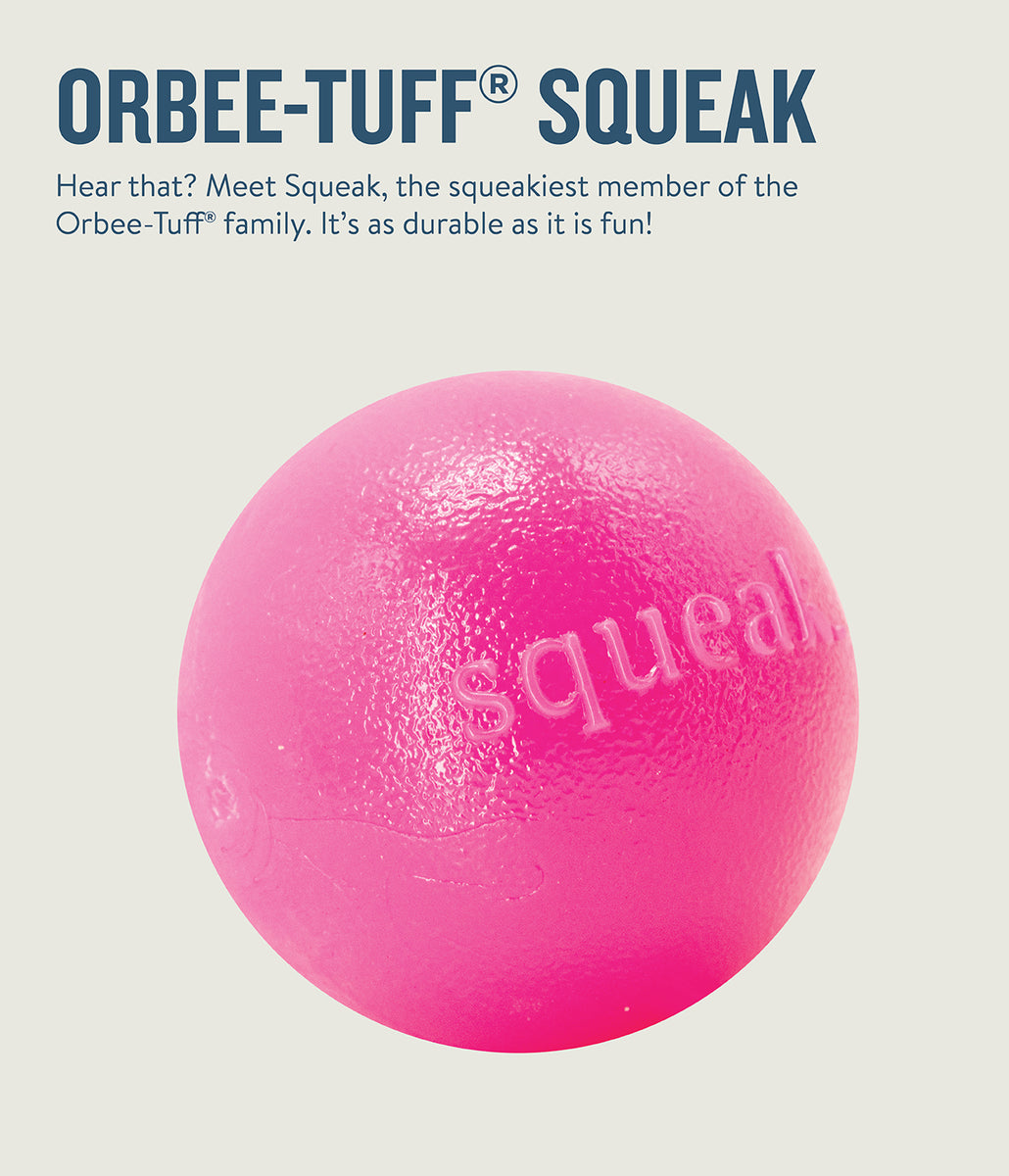 Planet Dog Orbee-Tuff Squeak Ball Dog Toy Pink