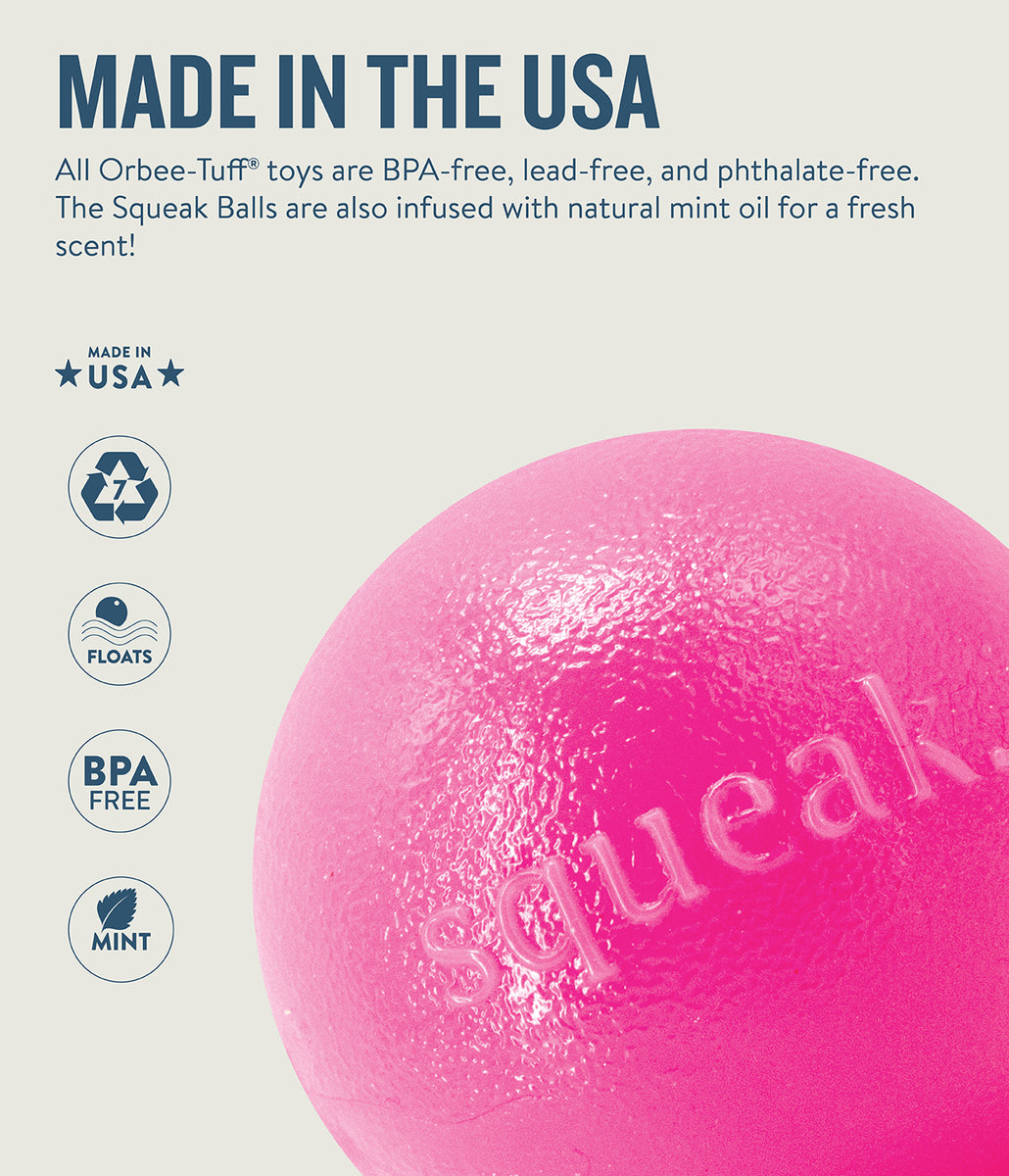 Planet Dog Orbee-Tuff Squeak Ball Dog Toy Pink