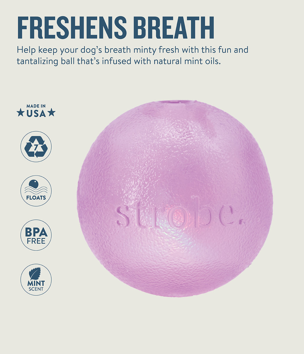 Planet Dog Orbee-Tuff Strobe Ball Light Up Dog Toy Purple