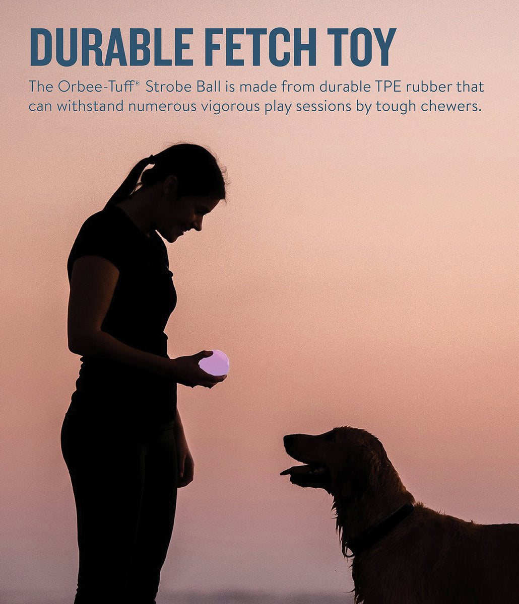Planet Dog Orbee-Tuff Strobe Ball Light Up Dog Toy Purple