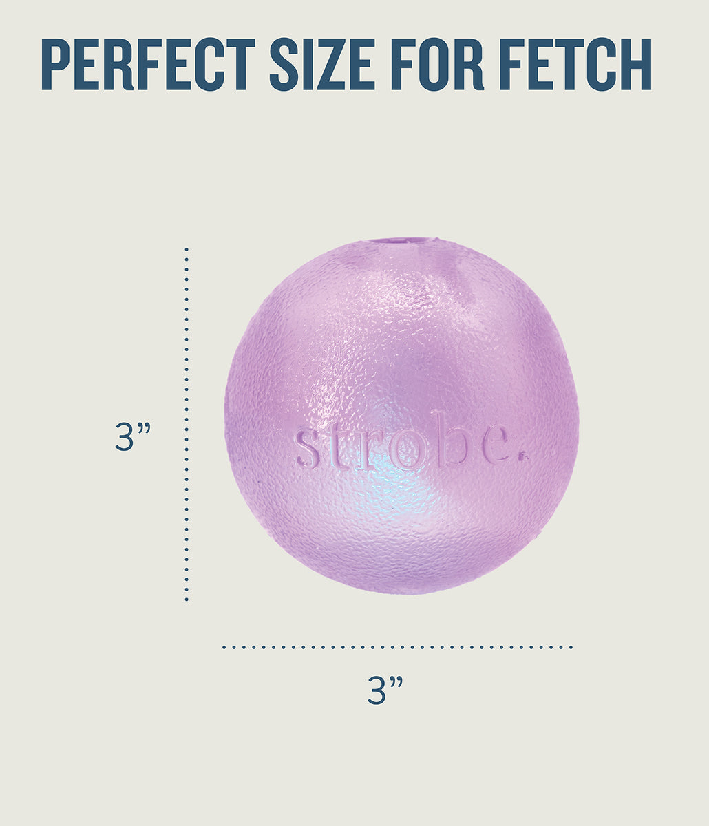 Planet Dog Orbee-Tuff Strobe Ball Light Up Dog Toy Purple