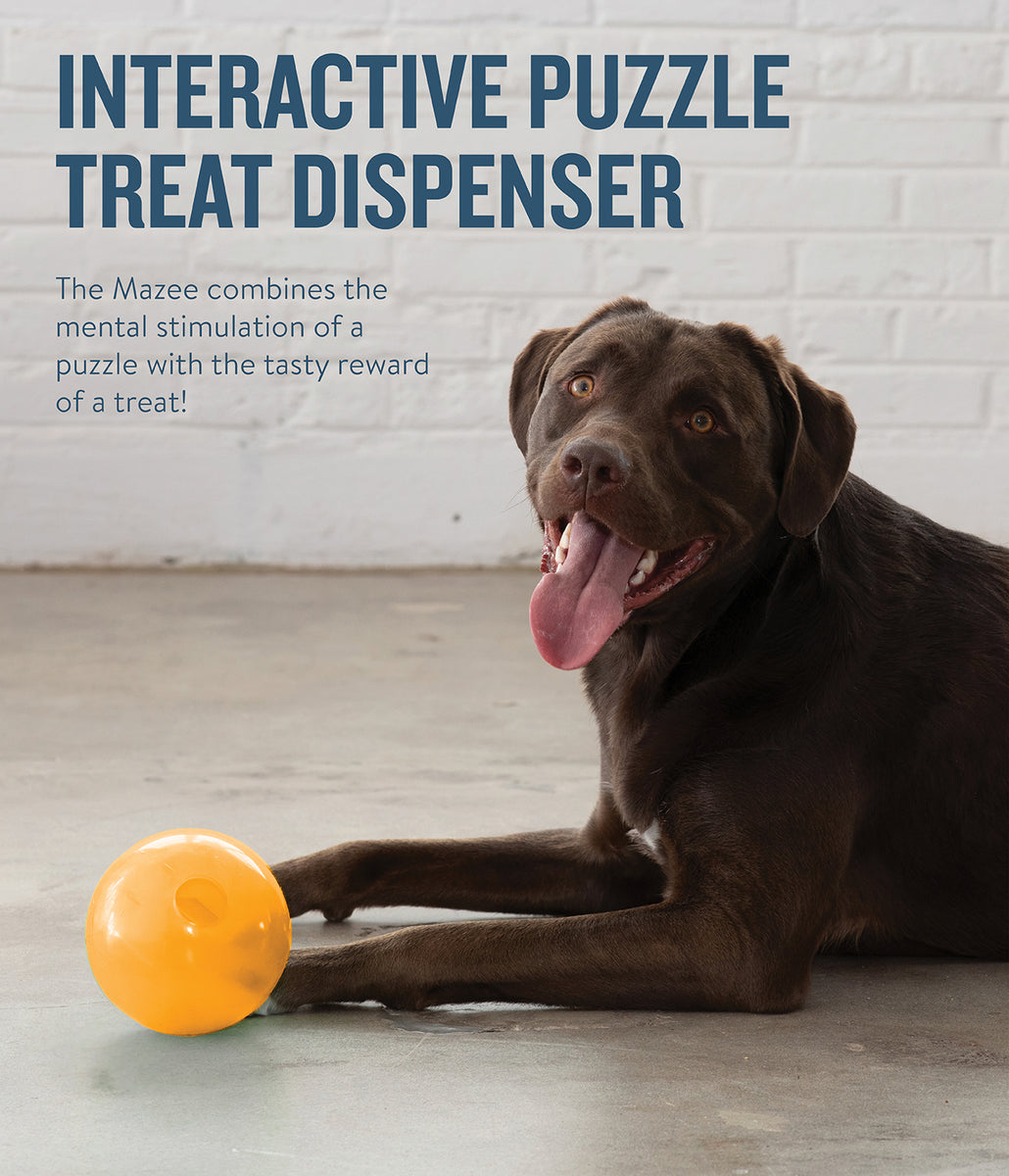 Planet Dog Orbee-Tuff Mazee Interactive Puzzle Dog Toy Orange