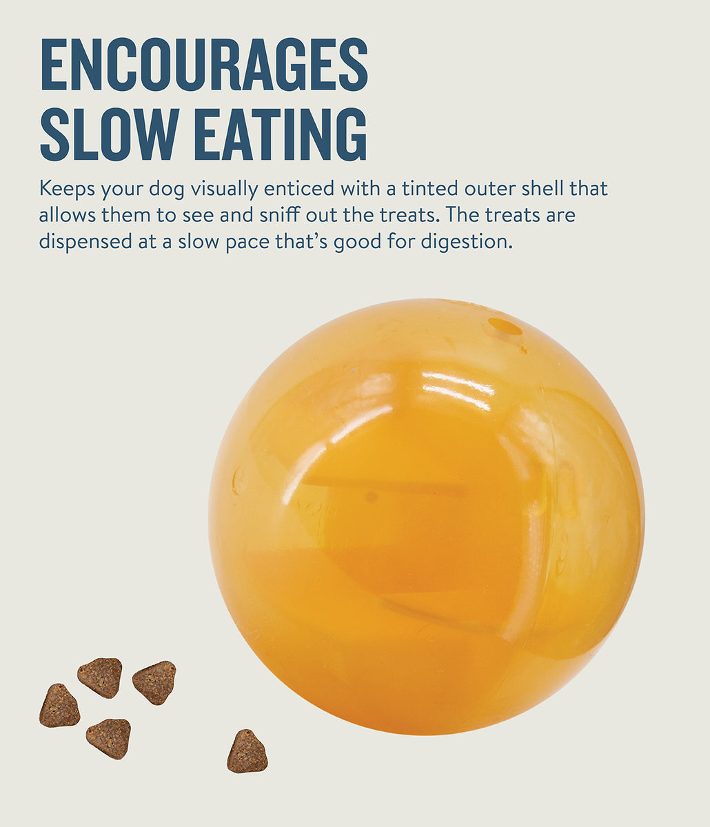 Planet Dog Orbee-Tuff Mazee Interactive Puzzle Dog Toy Orange