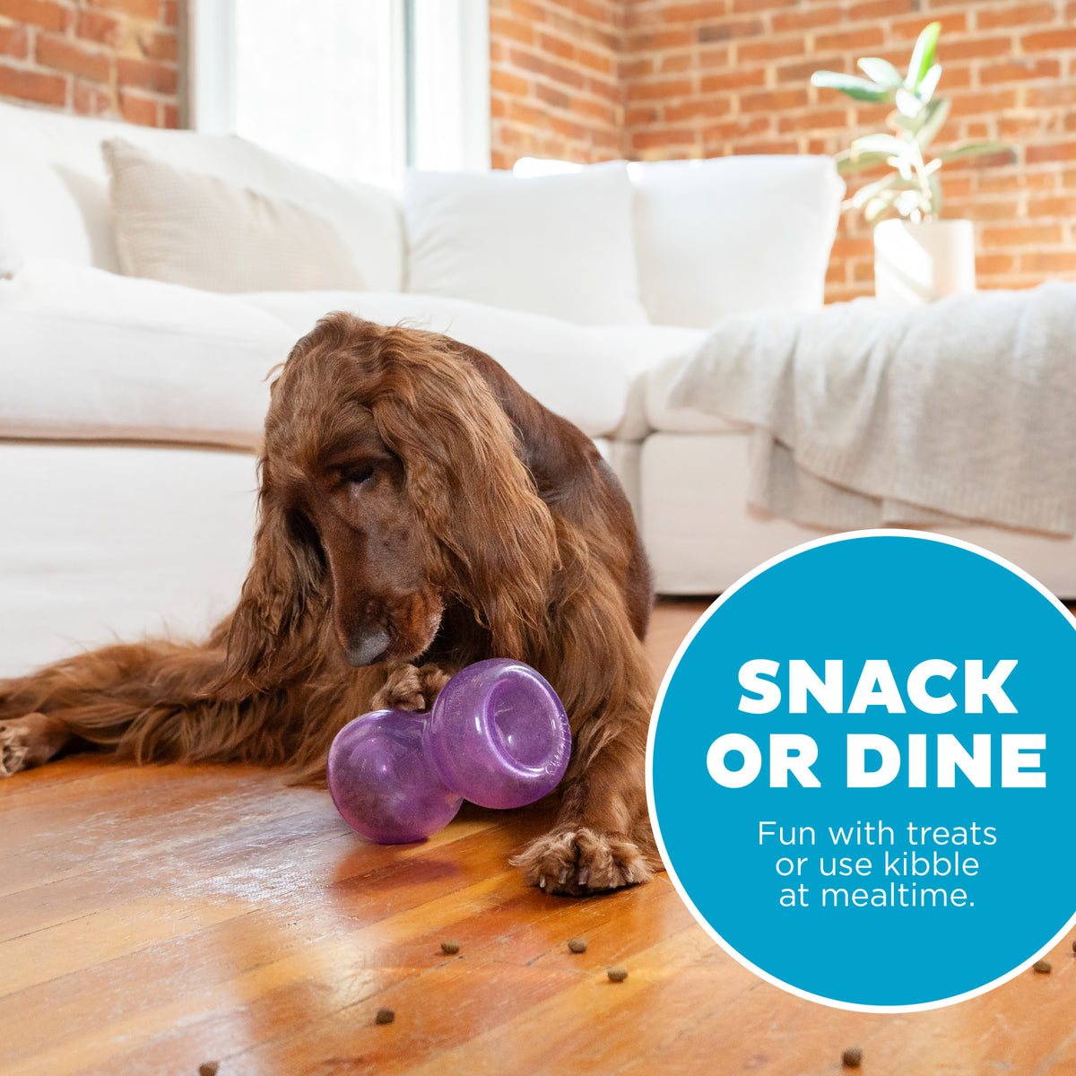 Planet Dog Orbee-Tuff Double Snoop Interactive Treat-Dispensing Dog Toy Purple