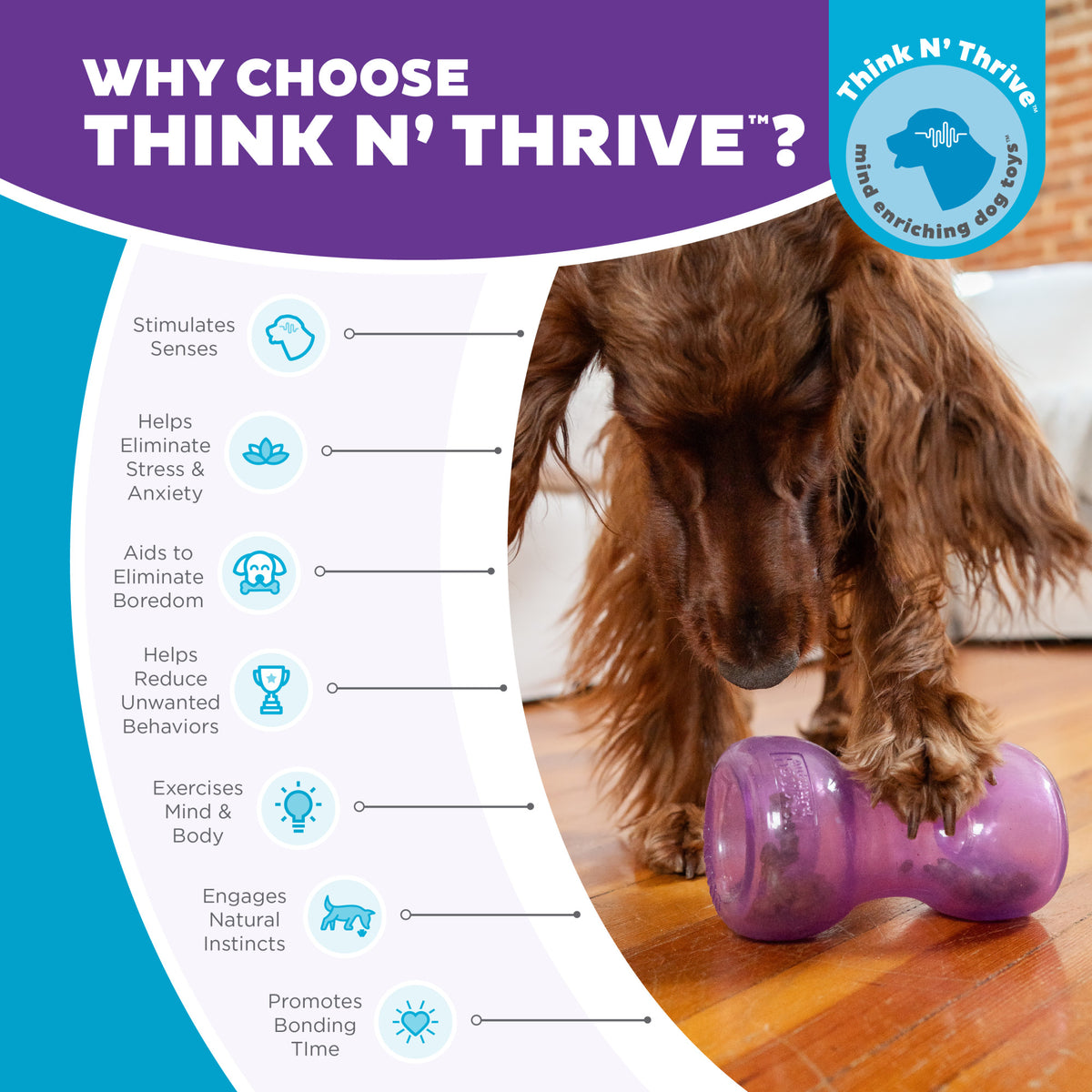 Planet Dog Orbee-Tuff Double Snoop Interactive Treat-Dispensing Dog Toy Purple