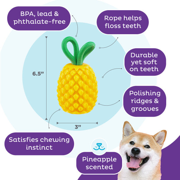 Planet Dog Dental Pineapple Dog Chew Toy Yellow