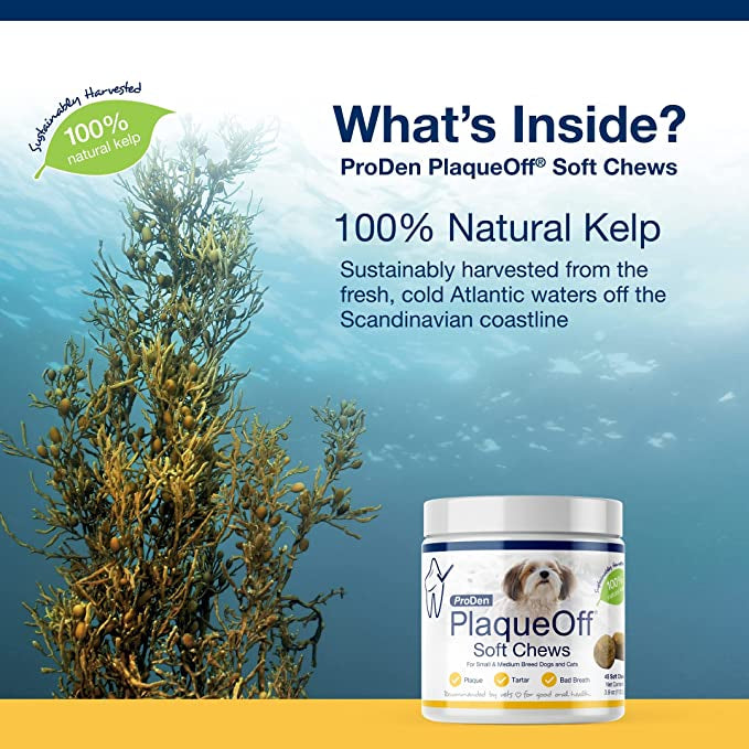 PlaqueOff Soft Chews Small/Medium Breed 45ct