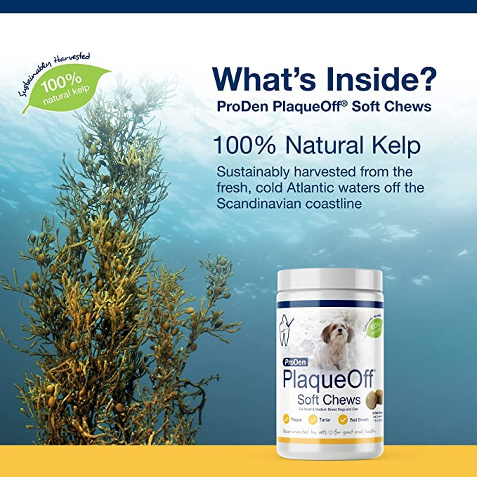 PlaqueOff Soft Chews Small/Medium Breed 90ct