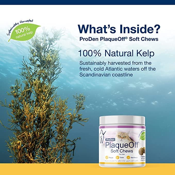 PlaqueOff Cat Soft Chews 45ct