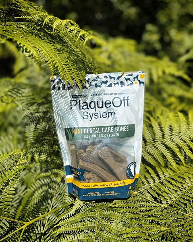 PlaqueOff - MINI Dental Care Bones - Vegetable Fusion