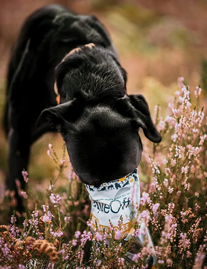 PlaqueOff Dental Bones Chicken & Pumpkin