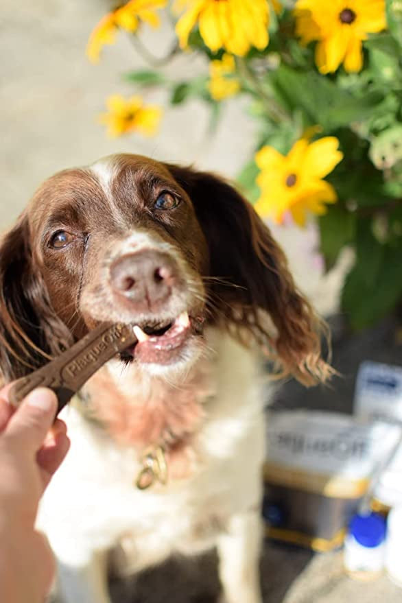 PlaqueOff MINI Dental Care Bones - Peanut Butter & Banana