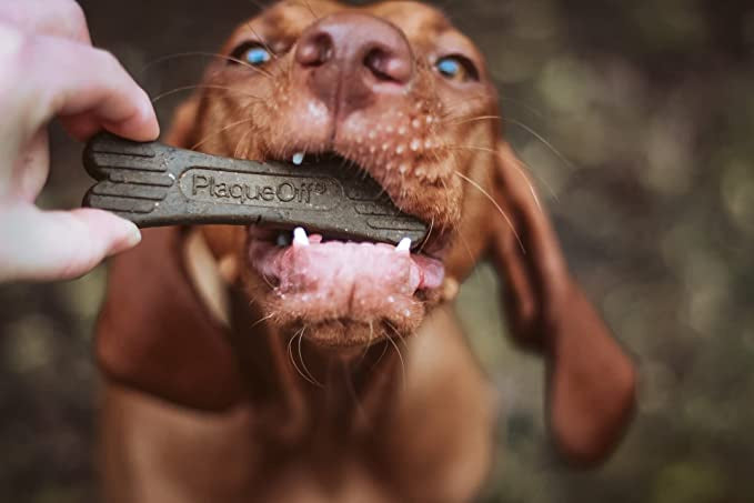 PlaqueOff Dental Bones Vegetable-Singles (Case of 26)