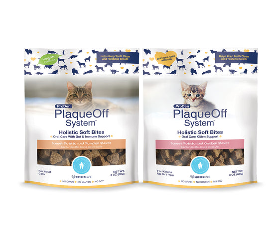 PlaqueOff Holistic Soft Bites CAT - Oral Care with Gut & Immune Support