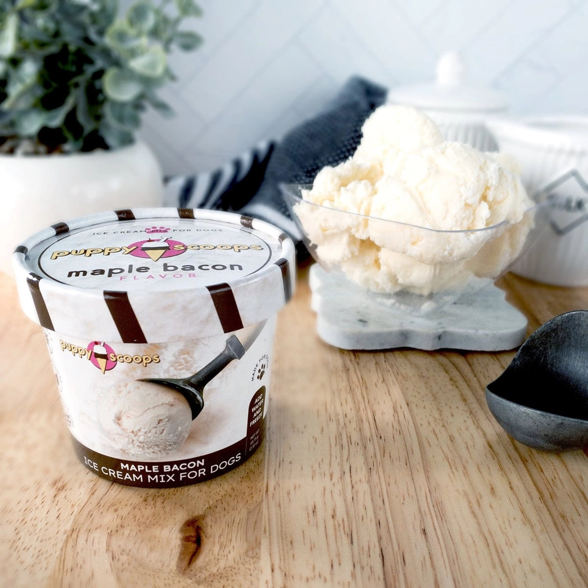 Puppy Cake Puppy Scoops Ice Cream Mix Maple Bacon Cup Small 2.32oz