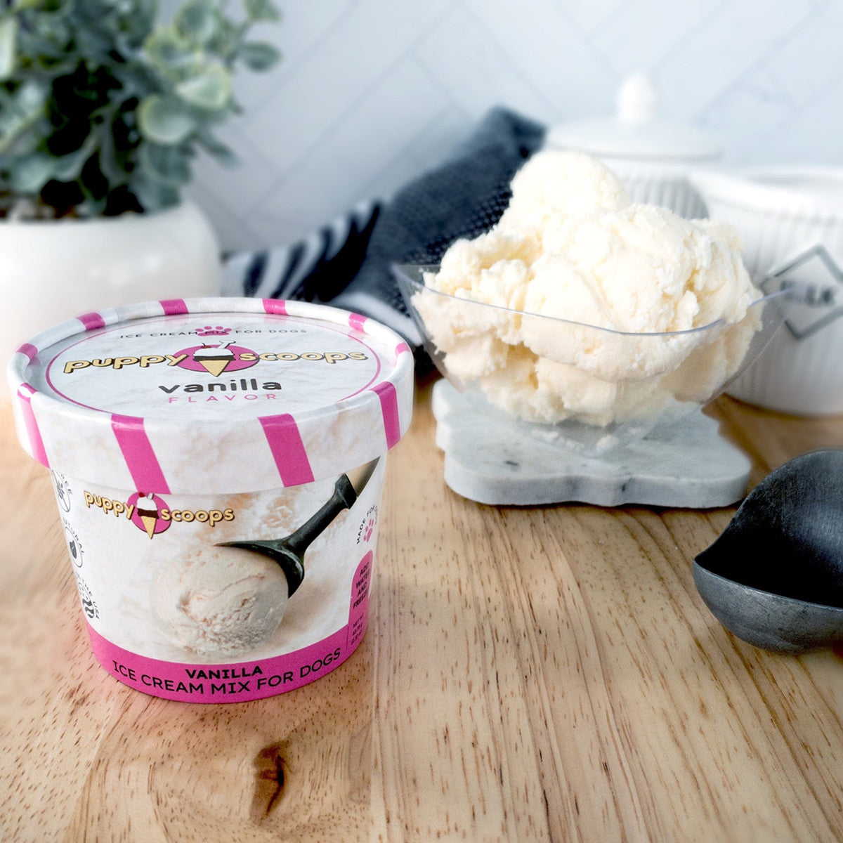 Puppy Cake Puppy Scoops Ice Cream Mix Vanilla Cup Small 2.32oz