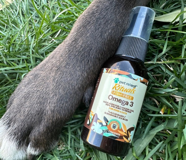 Pet Releaf Rituals Omega 3 Algae 2 oz pump