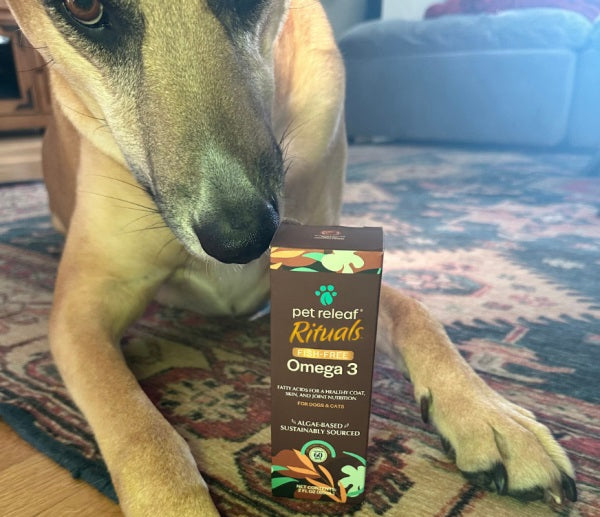 Pet Releaf Rituals Omega 3 Algae 2 oz pump