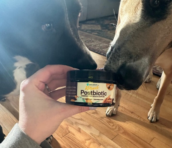 Pet Releaf Rituals Postbiotic Gut Health Powder