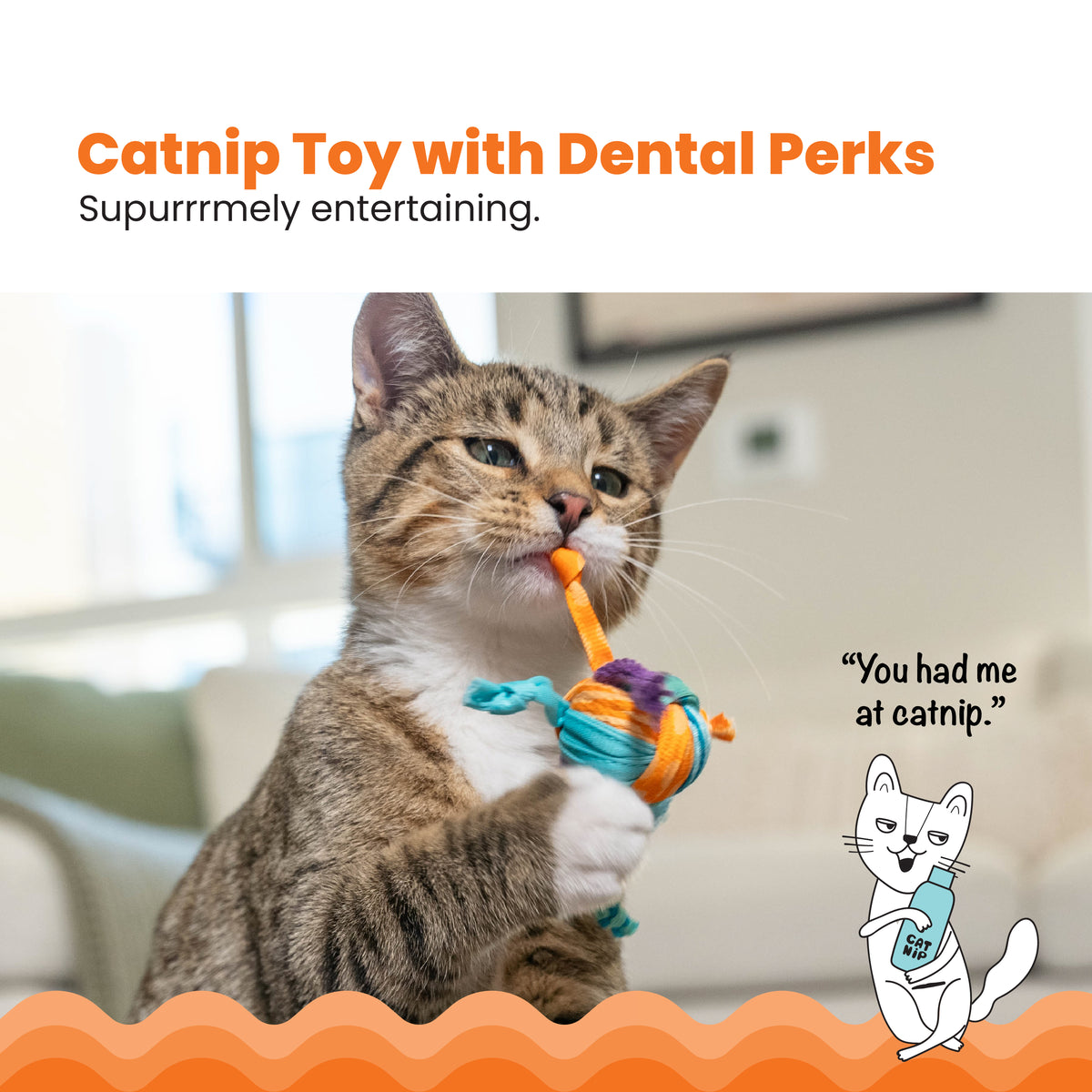 Catstages Tons of Tails Dental Catnip Cat Toy