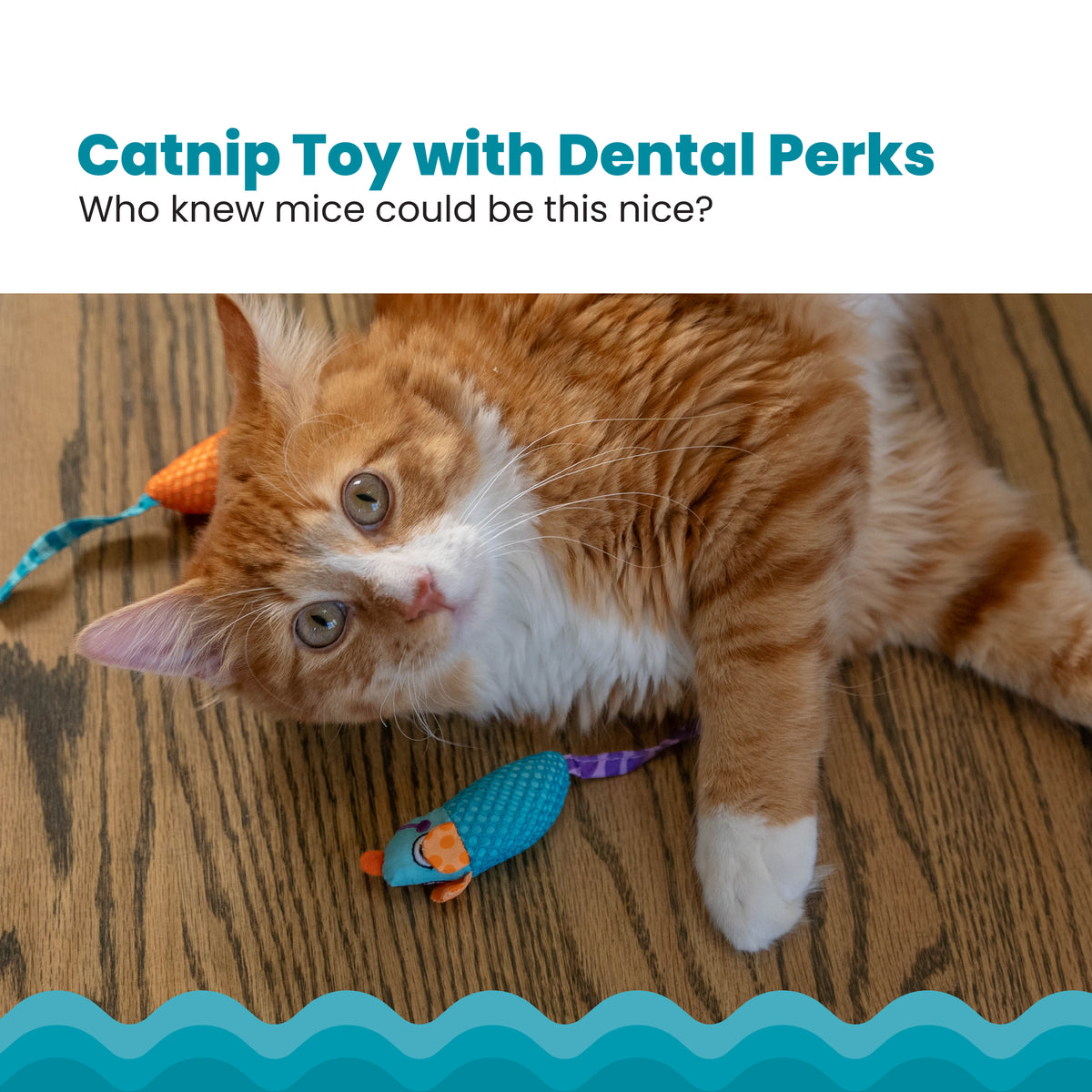 Catstages Catnip Chew Mice Dental Health Cat Toy 2pc