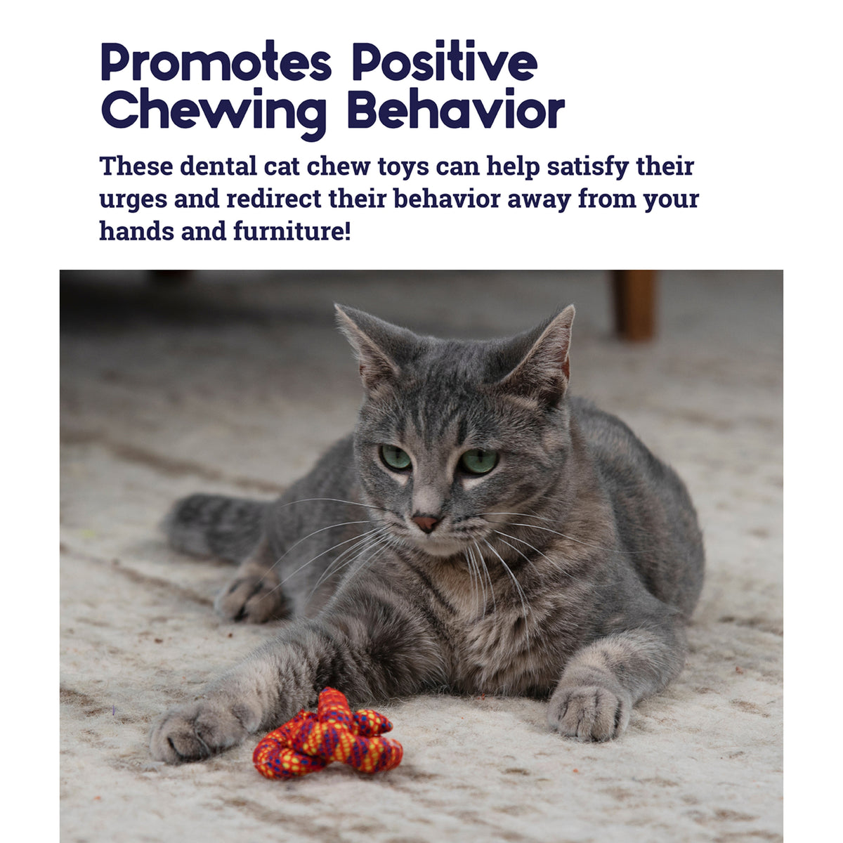 Catstages Catnip Plaque Away Pretzel Dental Cat Chew Toy