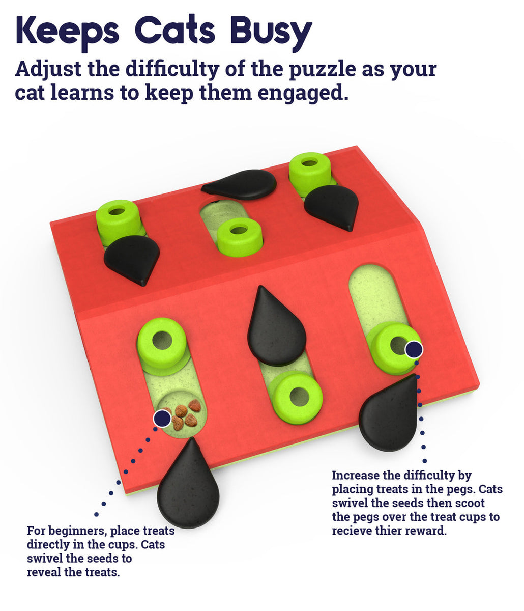 Catstages Melon Madness Puzzle Cat Toy Pink