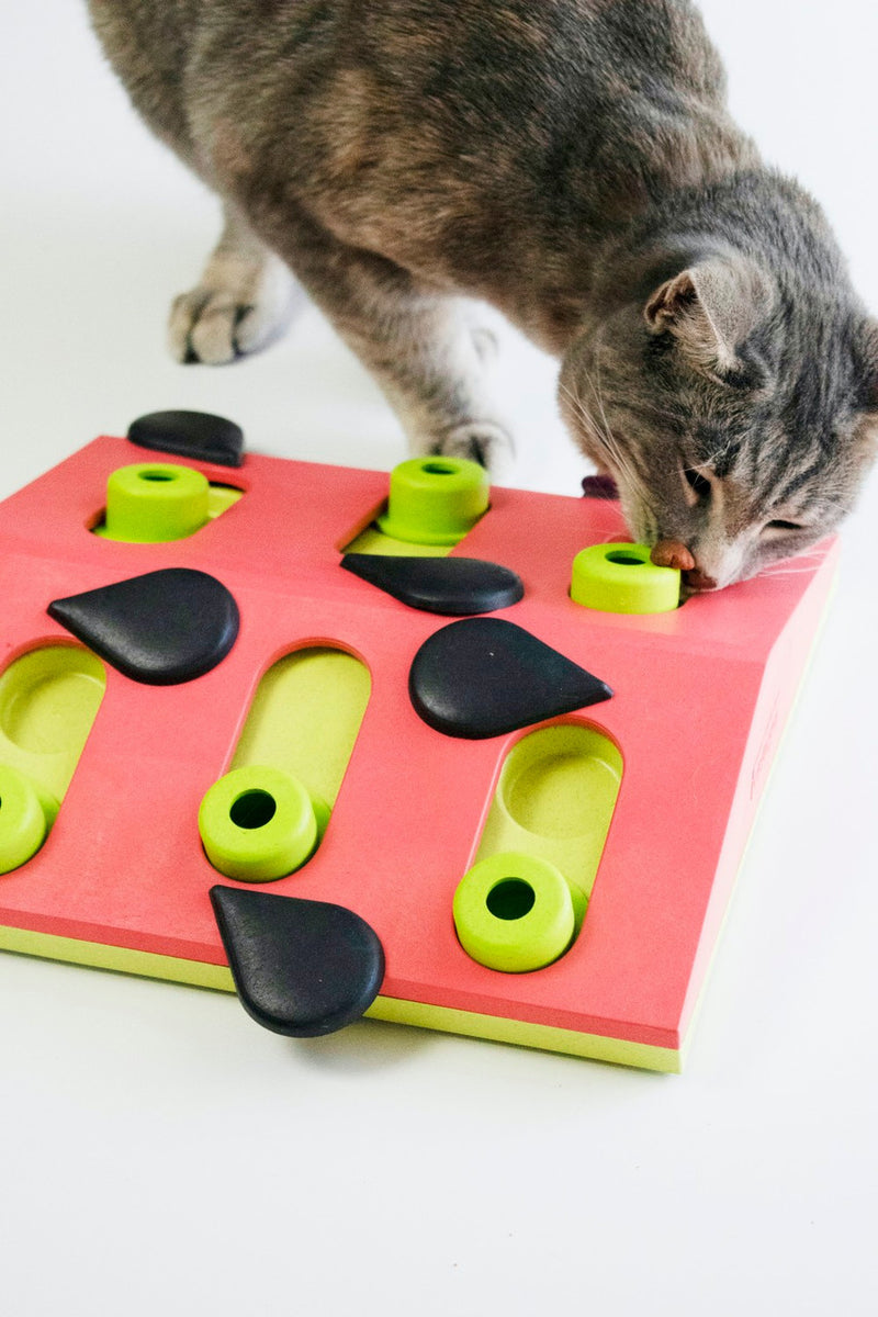 Catstages Melon Madness Puzzle Cat Toy Pink