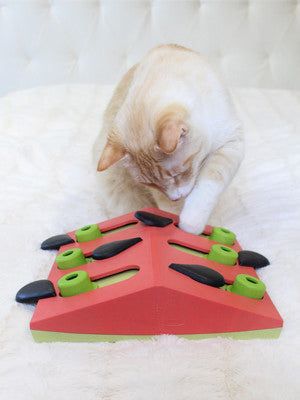 Catstages Melon Madness Puzzle Cat Toy Pink