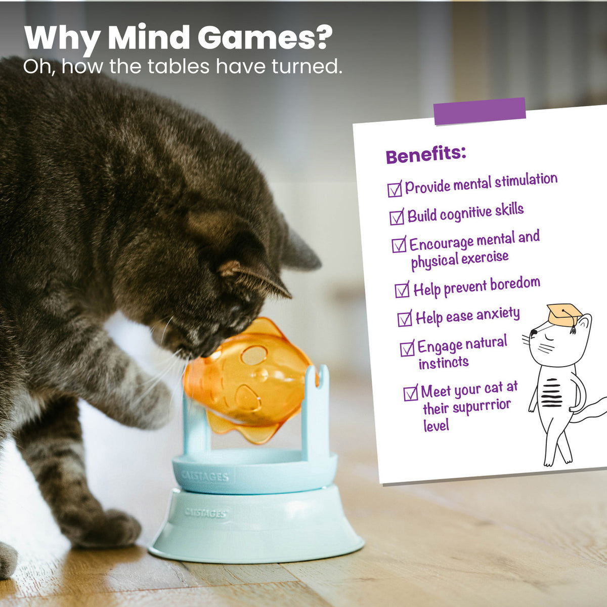 Catstages 2-in-1 Topper Spin Fish Treat Cat Toy