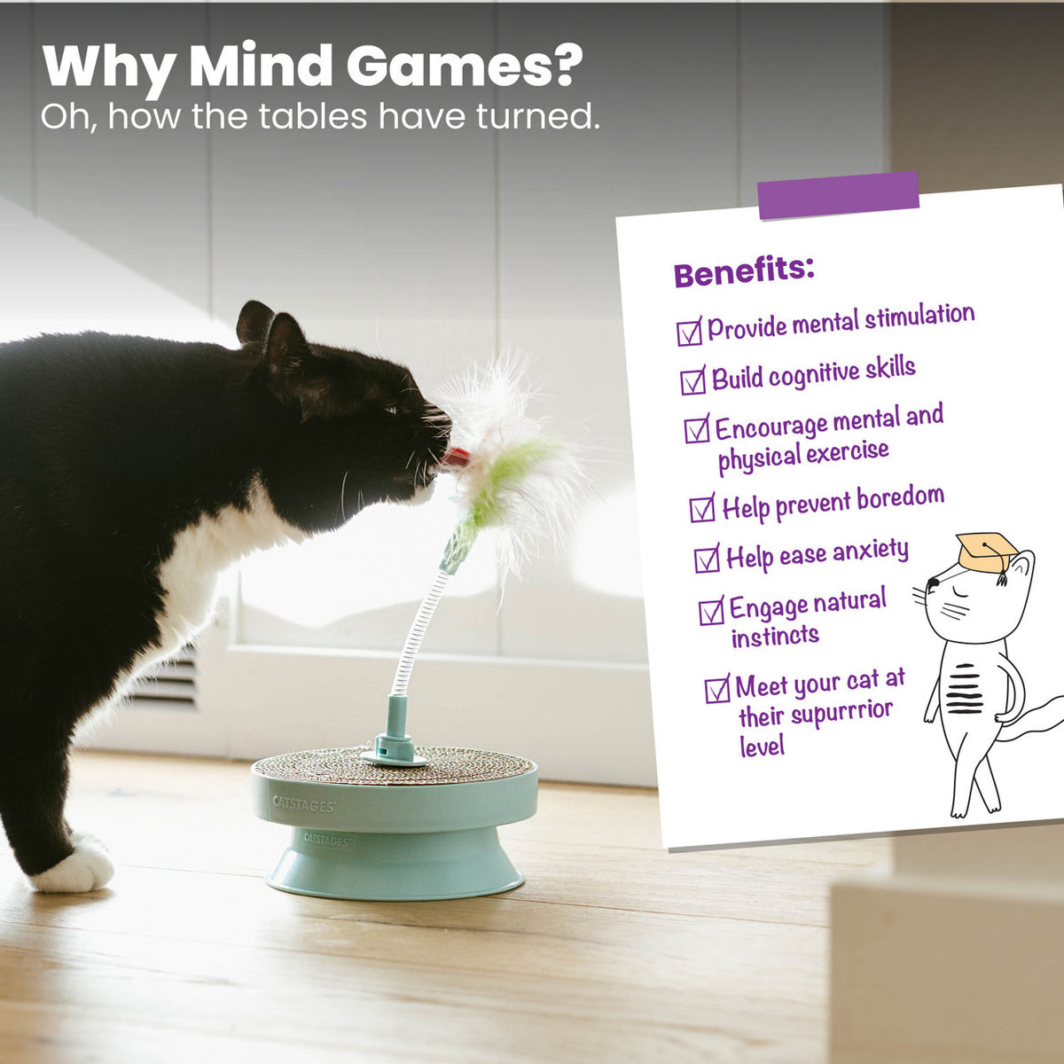 CatStages 2-in-1 Topper Scratch n' Bat Cat Toy