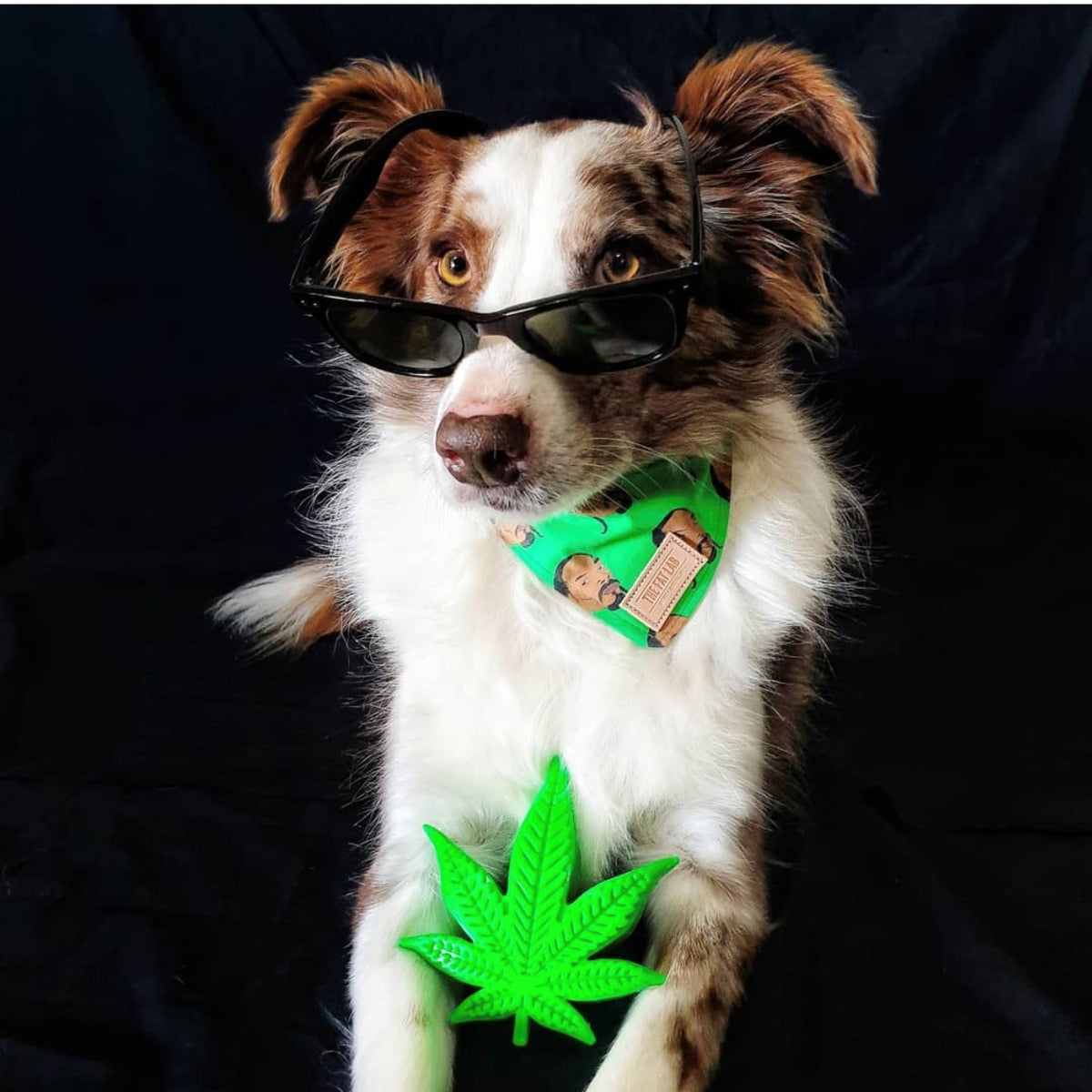 SodaPup MKB Nylon Colorado Maple Leaf Durable Dog Chew Toy 5"