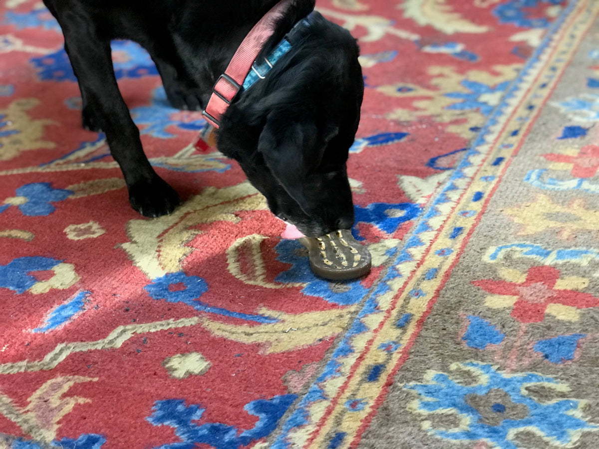 SodaPup Nylon Peanut Ultra Durable Dog Chew Toy Brown 7"