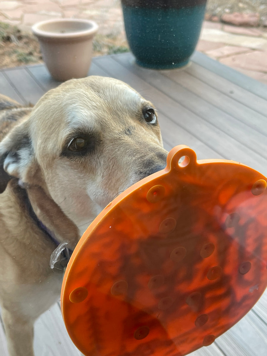 SodaPup eMat Enrichment Lick Mat Camp with Suction Cups Orange 8"