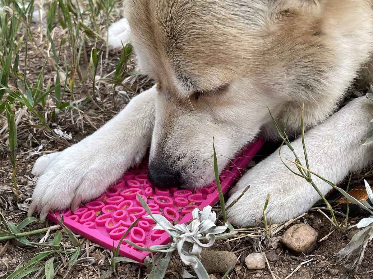 SodaPup TPE eMat Enrichment Lick Mat Flower Power Pink Small 5"