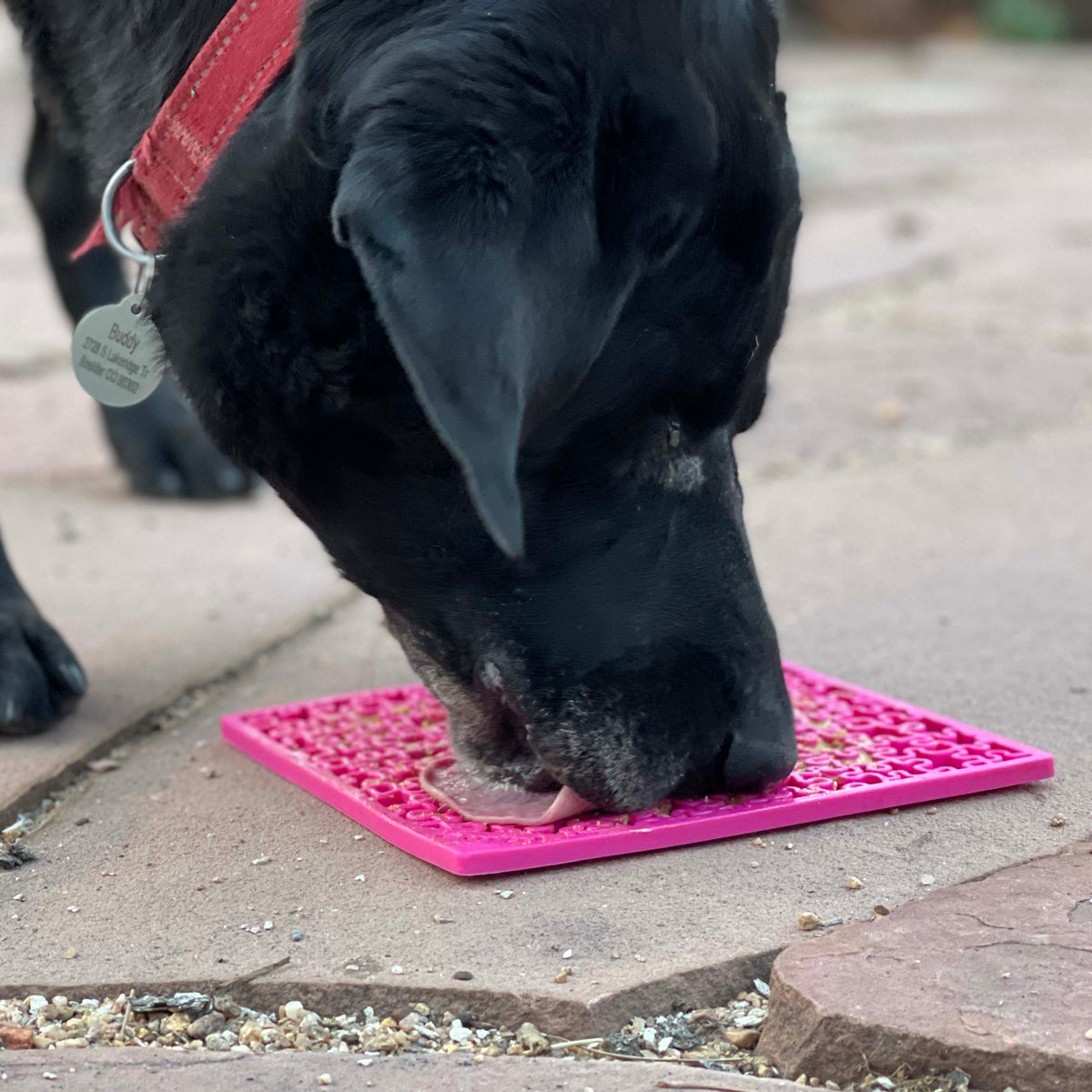 SodaPup TPE eMat Enrichment Lick Mat Jigsaw Pink Large 8"