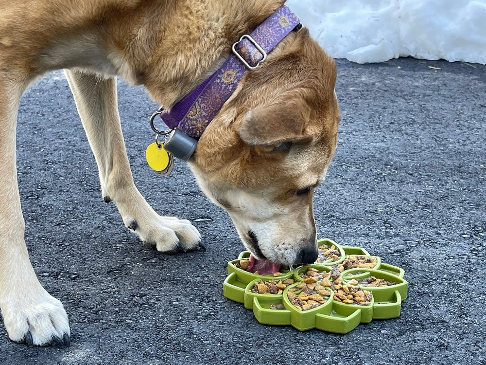 SodaPup Mandala eTray Enrichment Feeder for Dogs Green 8"