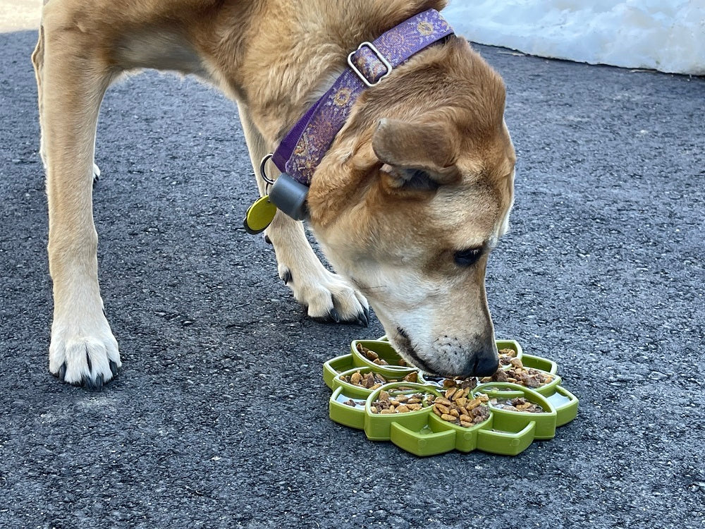 SodaPup Mandala eTray Enrichment Feeder for Dogs Green 8"