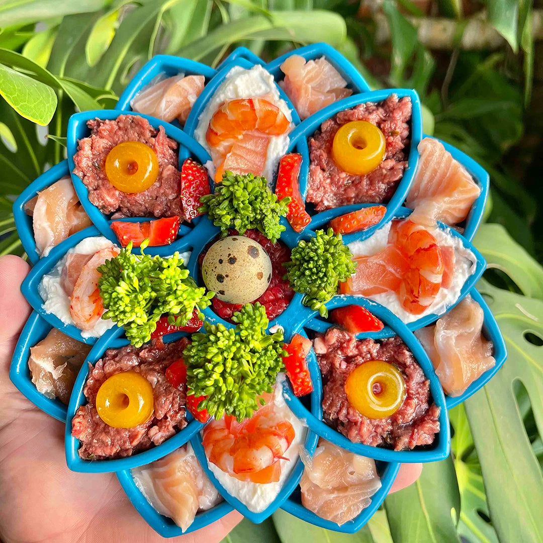 SodaPup Mandala eTray Enrichment Feeder for Dogs Blue 8"