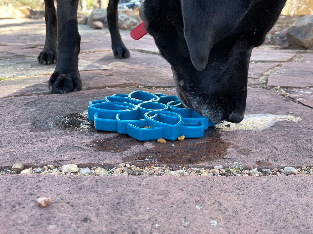 SodaPup Mandala eTray Enrichment Feeder for Dogs Blue 8"
