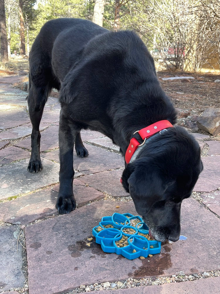 SodaPup Mandala eTray Enrichment Feeder for Dogs Blue 8"