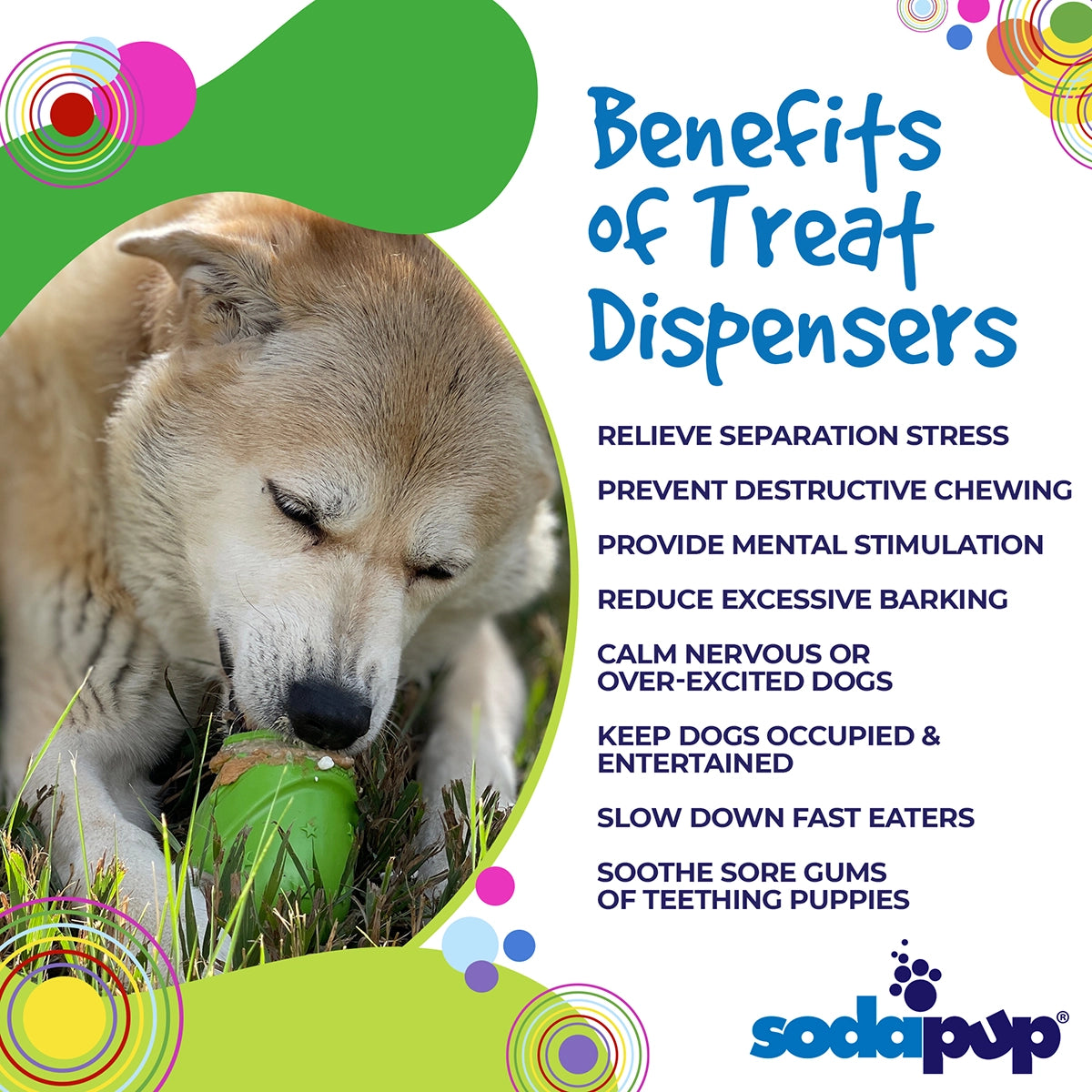 SodaPup Gnome Treat Dispenser Dog Toy