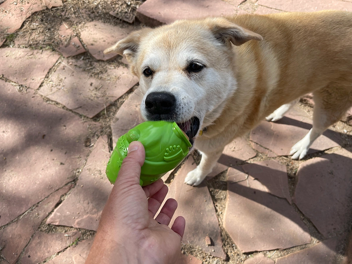 SodaPup Gnome Treat Dispenser Dog Toy