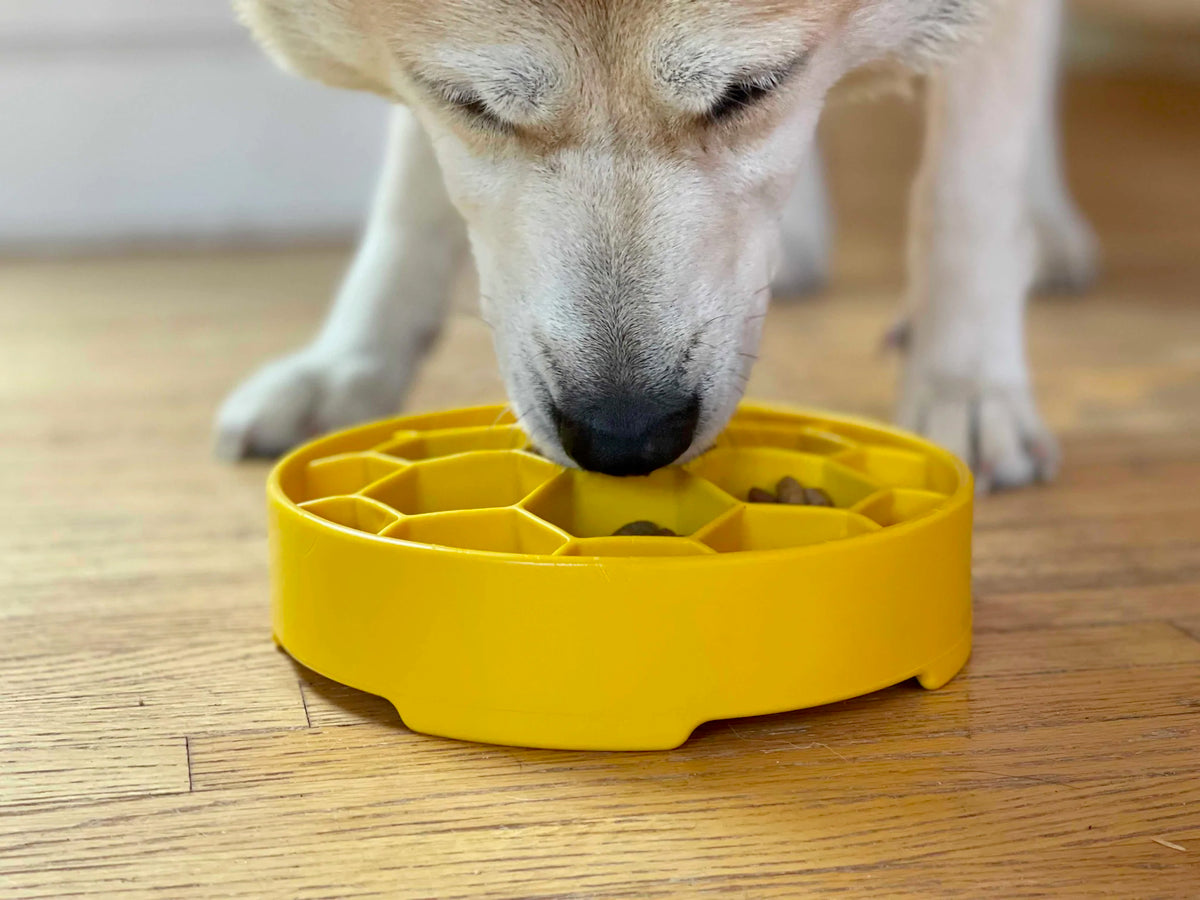 SodaPup Honeycomb eBowl Enrichment Bowl Slow Feeder for Dogs 8"