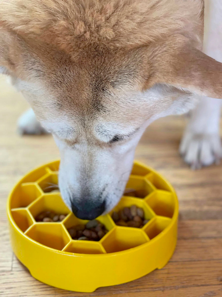SodaPup Honeycomb eBowl Enrichment Bowl Slow Feeder for Dogs 8"